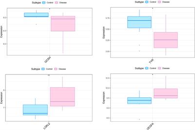 Potential molecular and cellular mechanisms of the effects of cuproptosis-related genes in the cardiomyocytes of patients with diabetic heart failure: a bioinformatics analysis